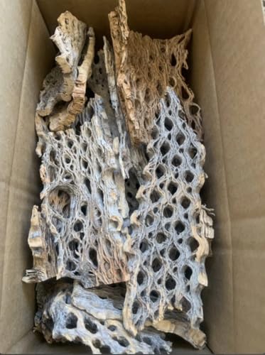 BioactiveFX Teddy Bear Cholla Wood Shards Natural Hermit Crab Treats & Habitat Enrichment for Reptiles Fish Small Pets Birds & Aquariums (Medium Box 8x4x4 (Lengths 1 7 3/4 10-15 Pieces))