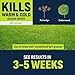Image Kills Concentrate Nutsedge Killer, 24-Ounce 100099405