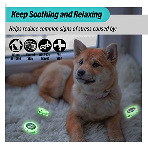 Image of KN FLAX Aegis Calming Clip for Dogs (Glow-in-The-Dark), Anxiety Relief Pheromone Diffuser [Made in Korea], Lasts 60 Days, Reducing Stress During Loud Noise and Separation for All Sized Dog (with U)