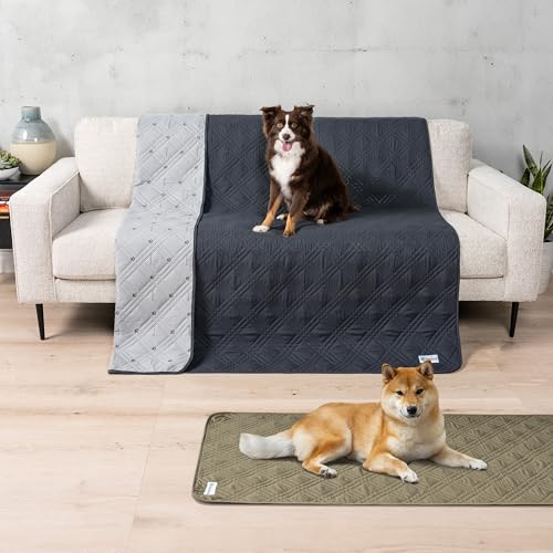 PetAmi-Waterproof-Couch-Cover-for-Dogs-Waterproof-Pet-Blanket-Reversible-Furniture-Cover-Sofa-Protector-for-Pet-Cat-Bed-Washable-Waterproof-Blanket-Dog-Cover-for-Couch-Seat-68x82-Gray - Cucciolini Doodles   PetAmi-Waterproof-Couch-Cover-for-Dogs-Waterproof-Pet-Blanket-Reversible-Furniture-Cover-Sofa-Protector-for-Pet-Cat-Bed-Washable-Waterproof-Blanket-Dog-Cover-for-Couch-Seat-68x82-Gray