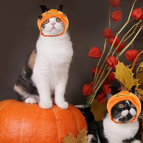 Sombrero Demonio Halloween para Perros Hying Cats miniatura 3