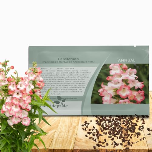 Outsidepride Arabesque Pink Penstemon Seeds for Planting - 15 Pcs Perennial Flower Seeds with Aromatic, Bell-Shaped Blossoms Attractive to Pollinators, for Xeriscaping, or Wild Flower Gardens