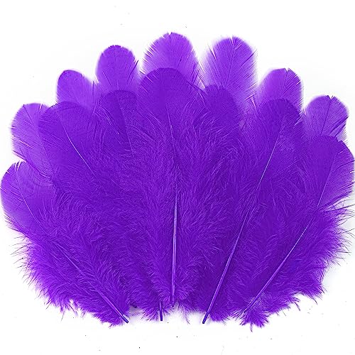 Soarer Purple Feathers for Crafts - 300pcs 3-5inch Craft Feathers Bulk for Wedding Home Party Dream Catcher Supplies and DIY Crafts(Purple)