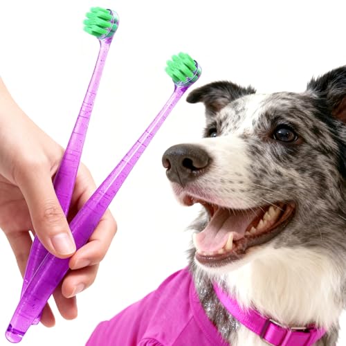 Brosses à dents pour chiens et chats pour une haleine fraîche au quotidien