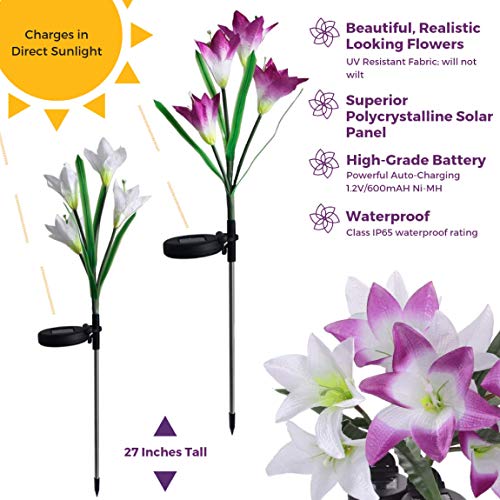 Pure Ponta Solar Flower Lights | 2 Pack of Solar Stake Lights with 8 Solar Flowers | Multi Color Changing LED Flower Lights Powered by Premium Solar Panels (4 White & 4 Purple Solar Flowers)