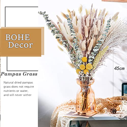 80 PezziErba della Pmapas Fiori Secchi Decorativi