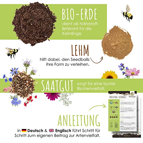 Samenbomben selber machen für eine bunte Bienenweide - Bienenfreundlicher Seedbomb Bausatz für 20-30 Seedbombs