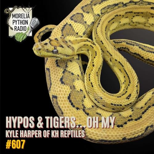 Hypos & Tigers Oh My...Kyle Harpet of KH Reptiles.
