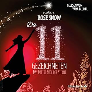 Das dritte Buch der Sterne Titelbild