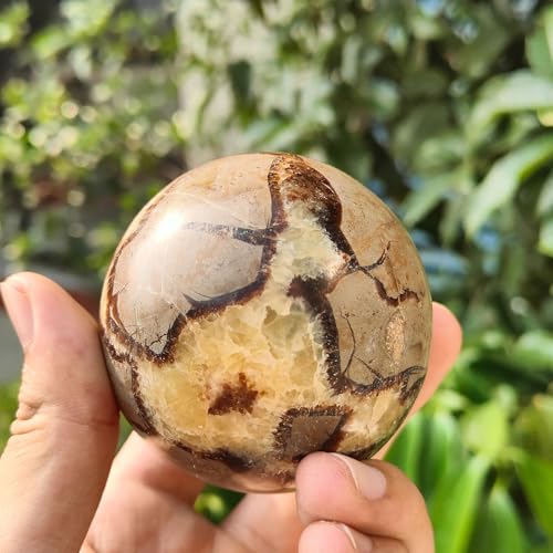 Home Decor Septarian Dragon Crystal Ball Polished Stone Sphere Ornament Collection and Decorative Balls 1pcs,5cm/2in