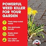 Doff Ultra Weedkiller – 1L Ready to Use Glyphosate-Free Spray for Garden Protection – Kills Rooted Weeds from Pathways to Driveways - Long Lasting Weed Control – Strong Weed Killer - Image 3