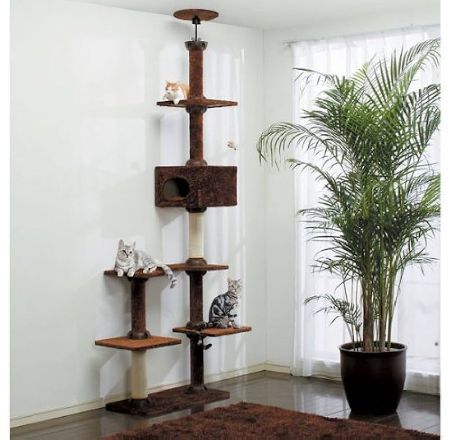 Amazon | キャットランド CLD-240B ブラウン アイリスオーヤマ