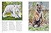 Tigers (Mini Encyclopedias)