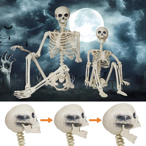 Image of Breesky Skeleton Model for Decoration: 5.4Ft & 3Ft Skeleton with Movable Joints - Plastic Human Bones for Party, Study