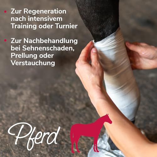 HERZENSTIER Arnikawunderwickel für Pferde, Hunde & Katzen – getränkte Bandage mit 100% Arnika – Unterstützung bei Regeneration, Prellungen & Muskelkater – 4 m lang, mehrfach verwendbar