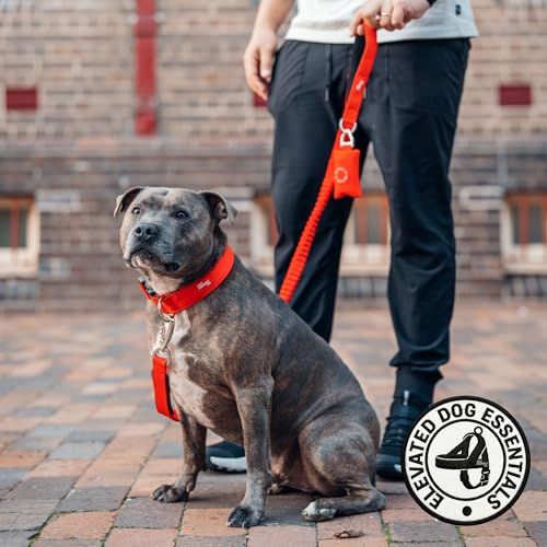 Image of Dog Friendly Co. Poop Bag Holder for Leash, Doggie Waste Bag, Premium Brown | One Click Clip Potty Carrier Dispenser, Pet Trash Bags, Neoprene Fabric for All Weather Conditions, Stylish Walking Accessory