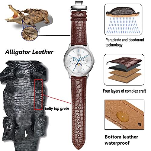 Image of Moran Quick Release Alligator Leather Watch Band Deployment Butterfly Buckle 18mm 19mm 20mm 22mm 24mm Replacement Genuine Crocodile Leather Loop SmartWatch Strap for Men Women