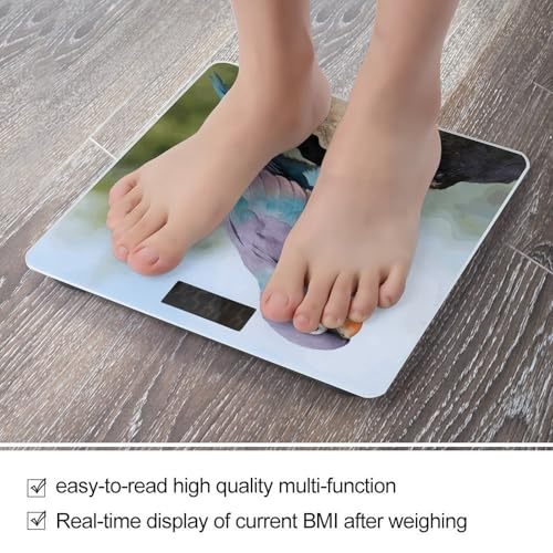 Báscula Digital Parrot Smart Body Weight para 180 kg miniatura 5