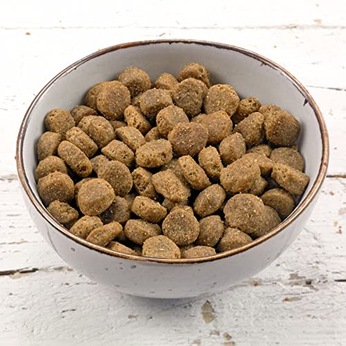 GRAU – das Original – Trockenfutter für Hunde - Junior - Geflügel, 1er Pack (1 x 3 kg), glutenfrei, für deinen Hund ab dem 4. Lebensmonat