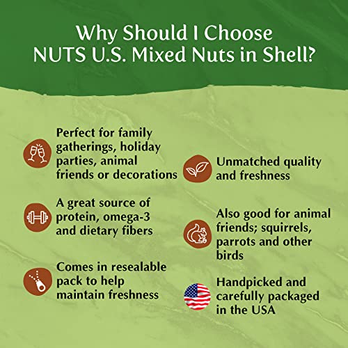 Nuts U.s. – Mixed Nuts In Shell (Almonds, Walnuts, Hazelnuts, Pecans) | No Added Colors And No Artificial Flavors | Fresh Buttery Taste And Raw |Packed In Resealable Bags!!! (6 Lbs) #TOP5