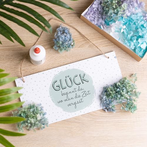 Getrocknete Hortensie Echt - Trockenblumen zum Basteln - Für natürliche Deko - Perfekt für schöne Herbst Dekoration (Blau Türkis)