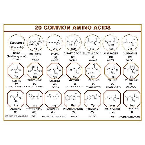 20 Common Amino Acids With Name, Structure, 3Letter Symbol