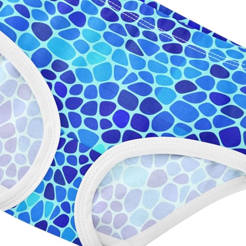 Summer Ocean Blue Toddler Girls's Underwear 2T 23029064