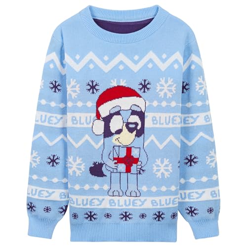 Bluey Ugly Christmas Sweater Kids Toddlers Crew Neck Long Sleeve Christmas Sweatshirt Sweater Pullover Gifts for Girls (3-4 Years Blue)