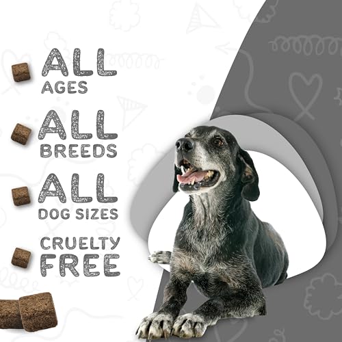 waggedy Daily Essentials Senior Soft Chews with Glucosamine — Pet Supplies for Digestion and Joint Health — Dog Multivitamin Treats for Overall Defense — Dog Vitamins and Supplements (60 Chews) - Image 5