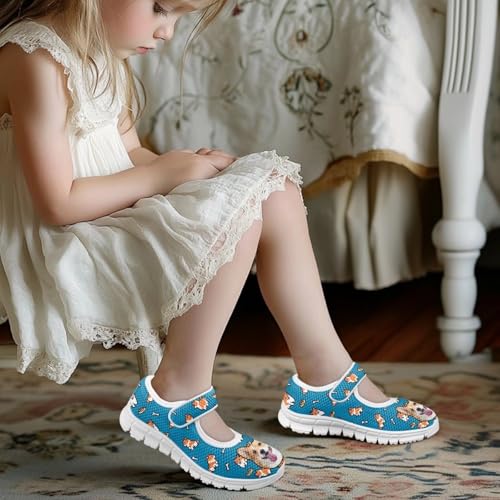 BIGCARJOB Mary Janes Shoes for Little Kids Flats Cute Ballet Dress Shoes School Uniform Shoes Athletic Gym Shoes4