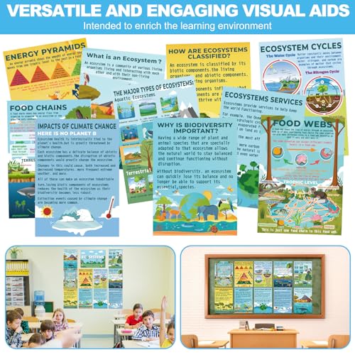 Image of Pasimy 11 Pcs Science Biology Posters Classroom Ecosystems Teaching Poster Ecosystems Biological Food Chain Bulletin Board for Classroom Decoration Teacher Middle High School Educational Library Home