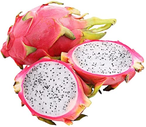 50pz semi di pitaya frutto del drago raro seme di frutto del drago perenne aspetto peculiare forte...