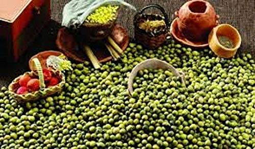 1/4 Pound MUNG Bean Seeds. Sprouting~Shell. Asian Cuisine. Premium USA Heirloom