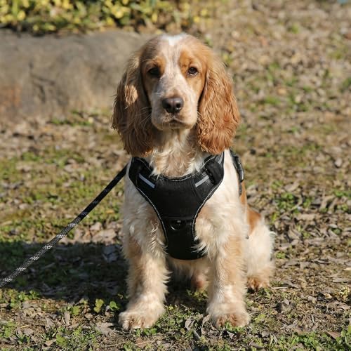 Image of Amazon Basics No-Pull Dog Harness, Adjustable Front Clip, Escape Proof Tactical Vest, Medium, Black