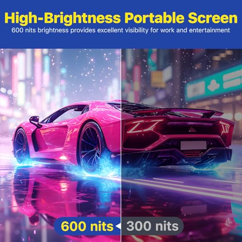 Portable Monitor for Laptop 17.3 Inch