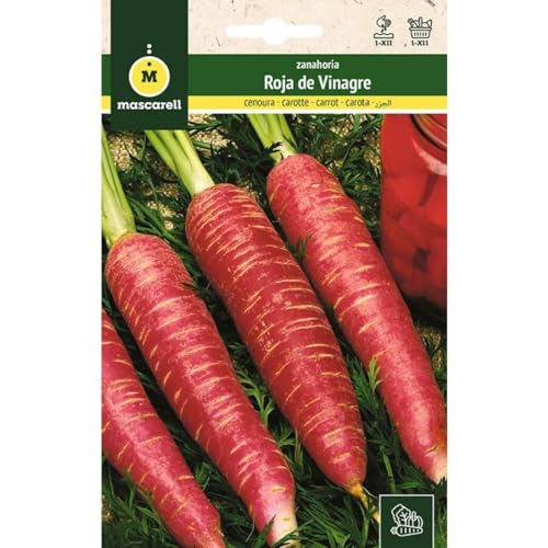 Mascarell Semillas, ZANAHORIA, Semillas Huerto, ZANAHORIA ROJA DE VINAGRE, Crea tu Propio Huerto Urbano y Cultivo en Casa, Plantas Hortícolas, 1 Gramos