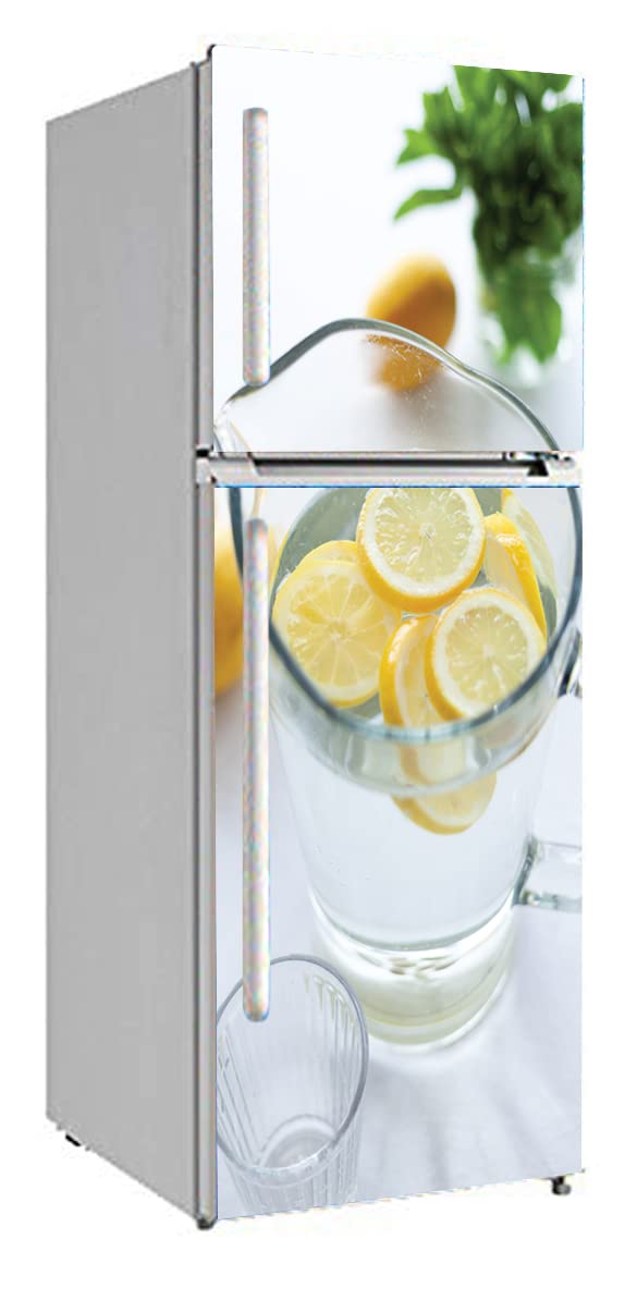 BP Design Solution Lemons Design Fridge Sticker Wallpaper for Fridge/almirah/Table (Self Adhesive Vinyl, Water Proof (63x24 inch) Double Door/Single Door (B09JGCQ2XN) Amazon Price History, Amazon Price Tracker