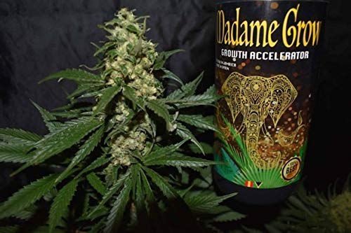 MADAME GROW / Abono o Fertilizante orgánico para Marihuana o ...