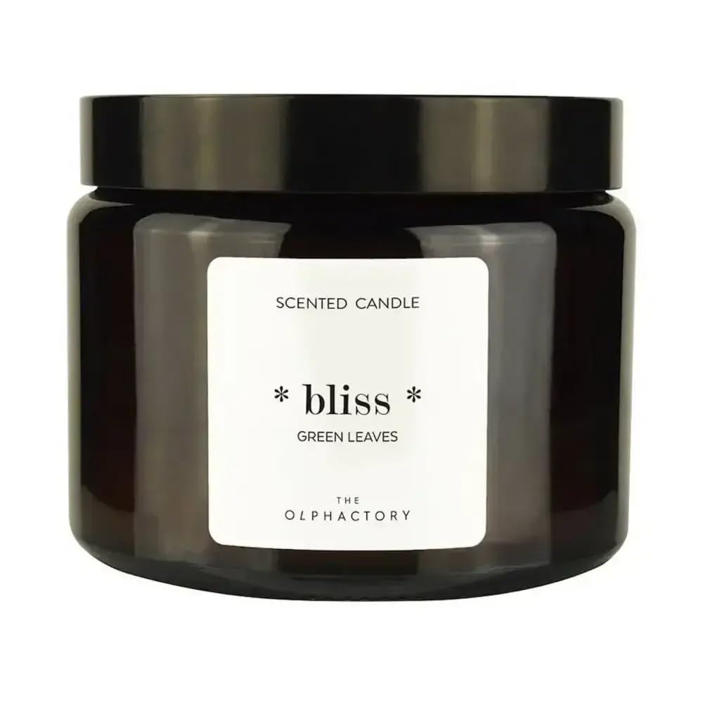 Vela Aromática Tarro 360 G (60 Horas) / Jar Scented Candle 360 g (60 Hours) Green Leaves Personal Care and Health