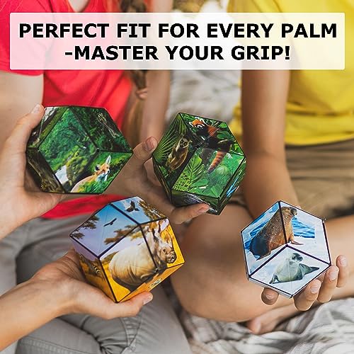 Image of Shashibo DODECA Magnetic Puzzle Cube, Sensory Fidget Toy for Adults & Kids, Stress Relief Fidget Toy for All Ages, Cool Fidget Toys for Desk, Shape Shifting Box, 100+ Possible Shapes