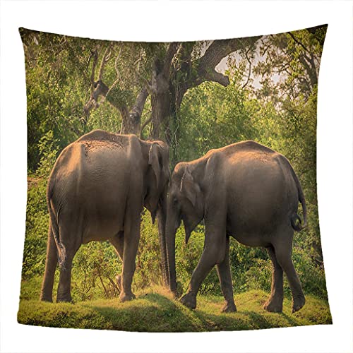 YTTOMG Manta Bebe termica Recien Nacido probóscide Animal Caliente 100*130cm/40x51inch Microfibra Super Suave Manta de sofá, Manta de sofá, Manta de Cama o Manta de Sala de Estar s Dormitorio de ADU