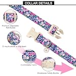 Lionet Paws Floral Dog Collar- Cute Spring Wildflowers Daisy Fleabane Dog Collars with Plastic Buckle, Light Adjustable Dog Collars for Small Medium Dogs - Image 2