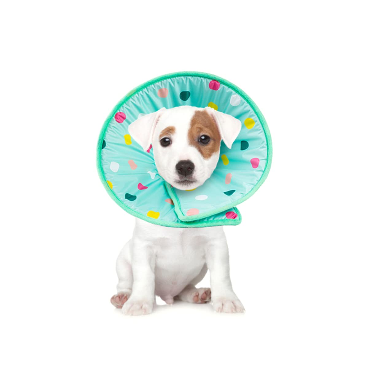 Angoily 3 Pezzi Collare A Cono per Cani Collana per Animali Domestici Elisabettiano in Fibra Facile da Indossare Taglia
