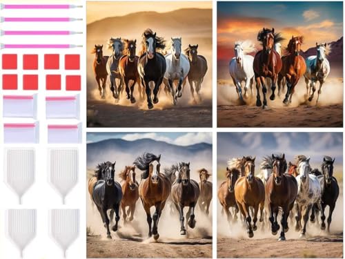 Peinture Diamant 80x80cm Anti Stress Lot de 4 Toiles Grand Format Cheval pour Grand Espace Vide
