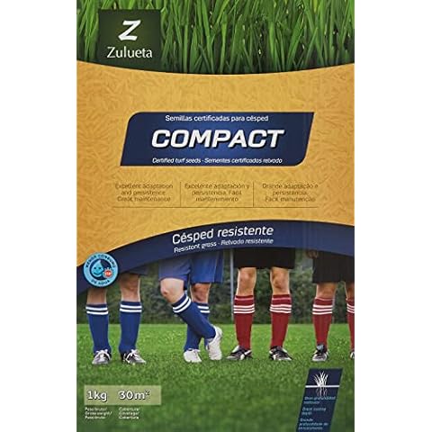 Zulueta Compact Semilla césped resistente para uso intenso Cover