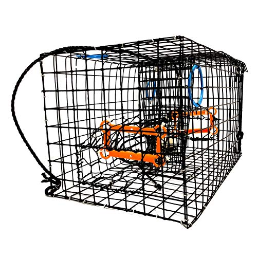 7 Best Crab Traps for Dungeness Crabs Fishermen Catch More