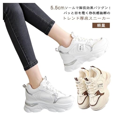 [koalee] \[ [XAbv Xj[J[ Cq[Xj[J[ fB[X V[Y gAbv 5.5cm _bhXj[J[ Cq[ ؍ EH[LOV[Y y ₷ Ȃ C r ʋ ʊw [sAi]