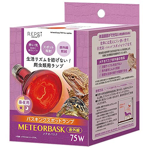 REPSi(vV[) eIoXNԊO 75W