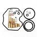 Wingsmoto Carb Repair Carburetor Rebuild Kit for 2001-2005 Honda TRX250EX