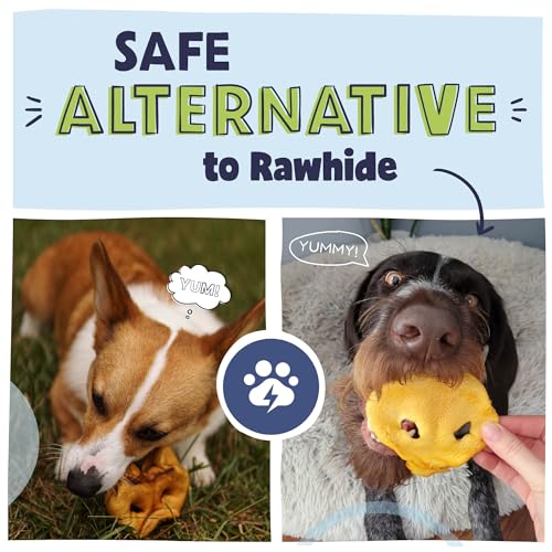 Pawstruck Natural Slow Roasted Pig Snouts for Dogs – Premium Single Ingredient Low Fat Pork Chew Treat for All Breeds – No Artificial Preservatives for All Breeds – 10 Count – Packaging May Vary Pawstruck Natural Slow Roasted Pig Snouts for Dogs – Premium Single Ingredient Low Fat Pork Chew Treat for All Breeds – No Artificial Preservatives for All Breeds – 10 Count – Packaging May Vary